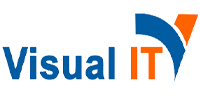 Visual IT logo